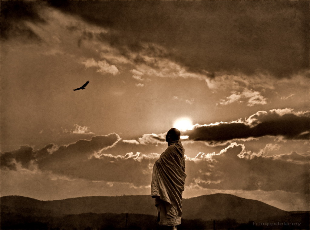 4484678967_1d12dcf2b9_o